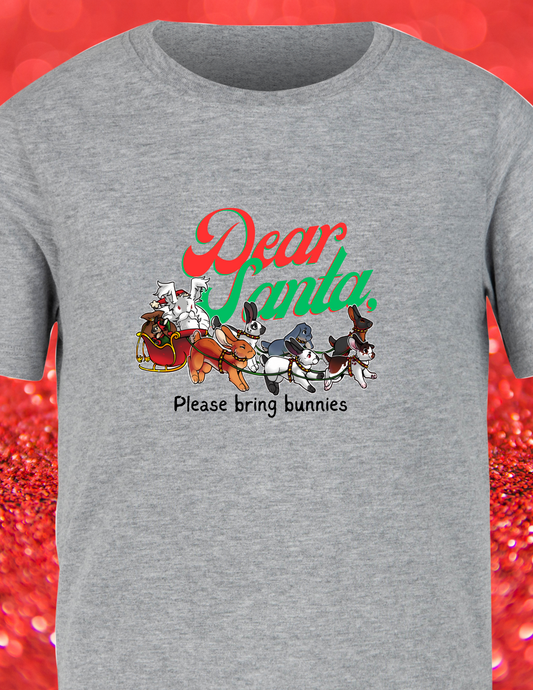 Rabbit breeds, Dear Santa tee shirt