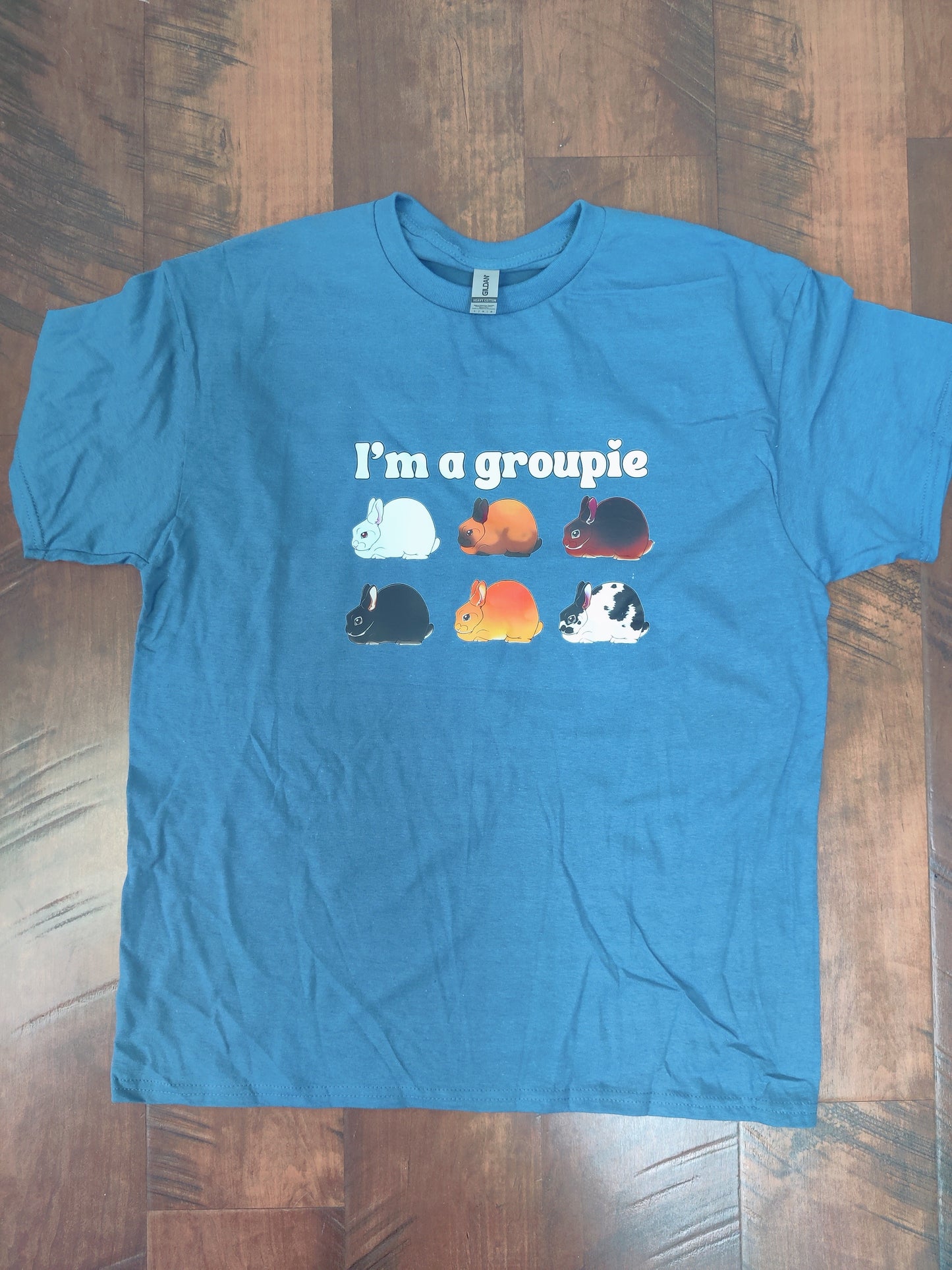 I'm a groupie mini rex slate blue Tee