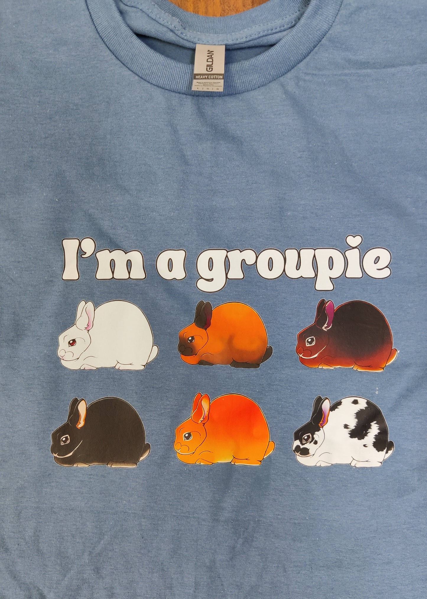 I'm a groupie mini rex slate blue Tee
